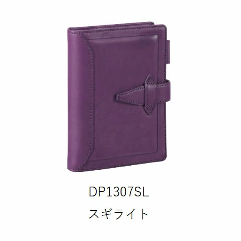 レイメイ藤井/ダ・ヴィンチグランデ ロロマ クラシック 10th記念 システム手帳