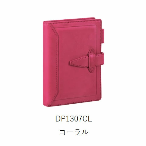 レイメイ藤井/ダ・ヴィンチグランデ ロロマ クラシック 10th記念 システム手帳