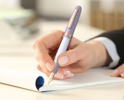 PLATINUM万年筆 #3776 センチュリー「ミスティブルーム」